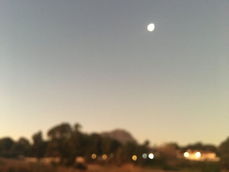 Commercial Property for Sale in Steenbras View Western Cape